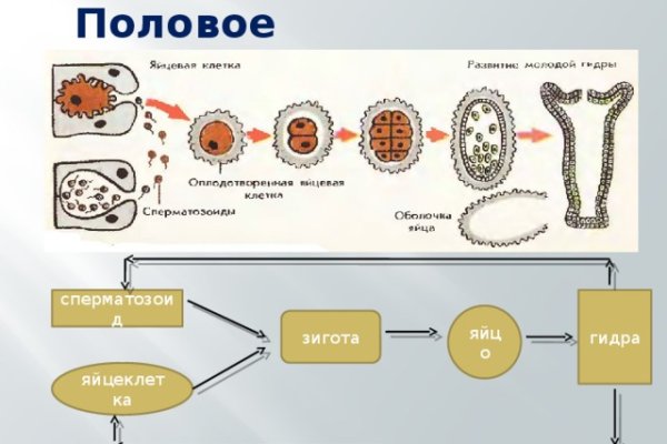 Кракен ссылка gigageek ru