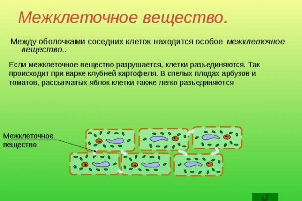 Кракен даркнет регистрация vtor run